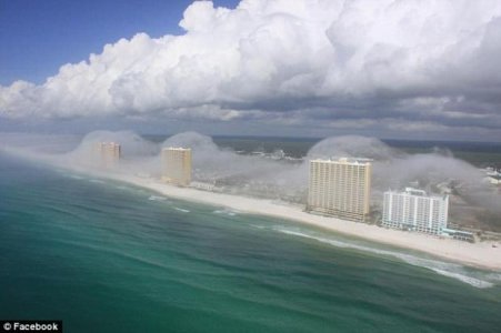 florida-4.jpg