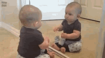 1588428546700.gif