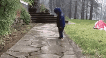 1588429010791.gif