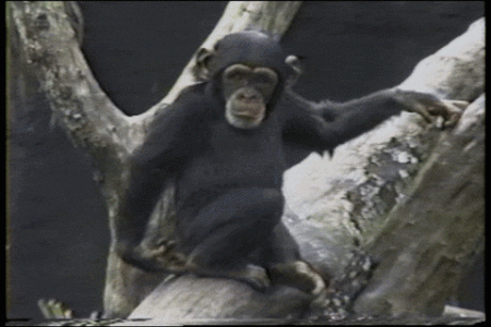 3d1C13mkBAcO4.gif