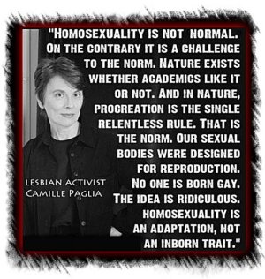 homosexuality-is-not-normal-no-one-is-born-gay-camille-paglia-quote1.jpg