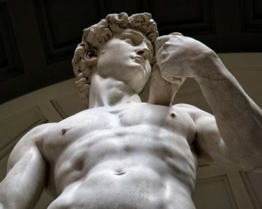 david-michelangelo-big.jpg