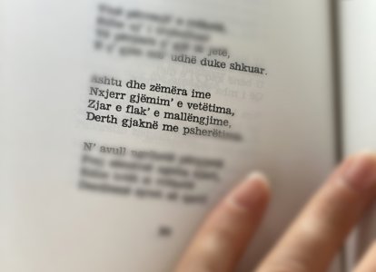 14330C62-746E-4F23-B5DD-FBDA16C05EDE.jpeg