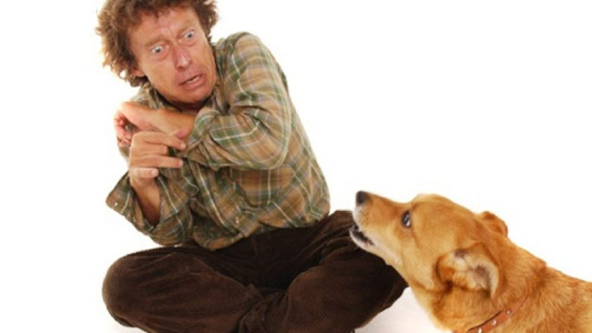 1598114487792.png