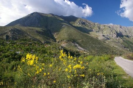 2451836927_92426e7466.jpg 2451836927_92426e7466.jpg