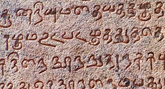 Lingua-Tamil.jpg Lingua-Tamil.jpg