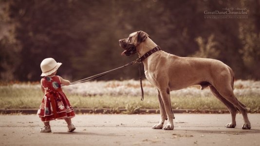 little-kids-big-dogs-photography-andy-seliverstoff-24-584fa92ca8a9c__880.jpg