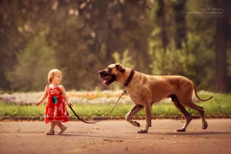 11.25.16-Little-Kids-and-Their-Big-Dogs14.jpg
